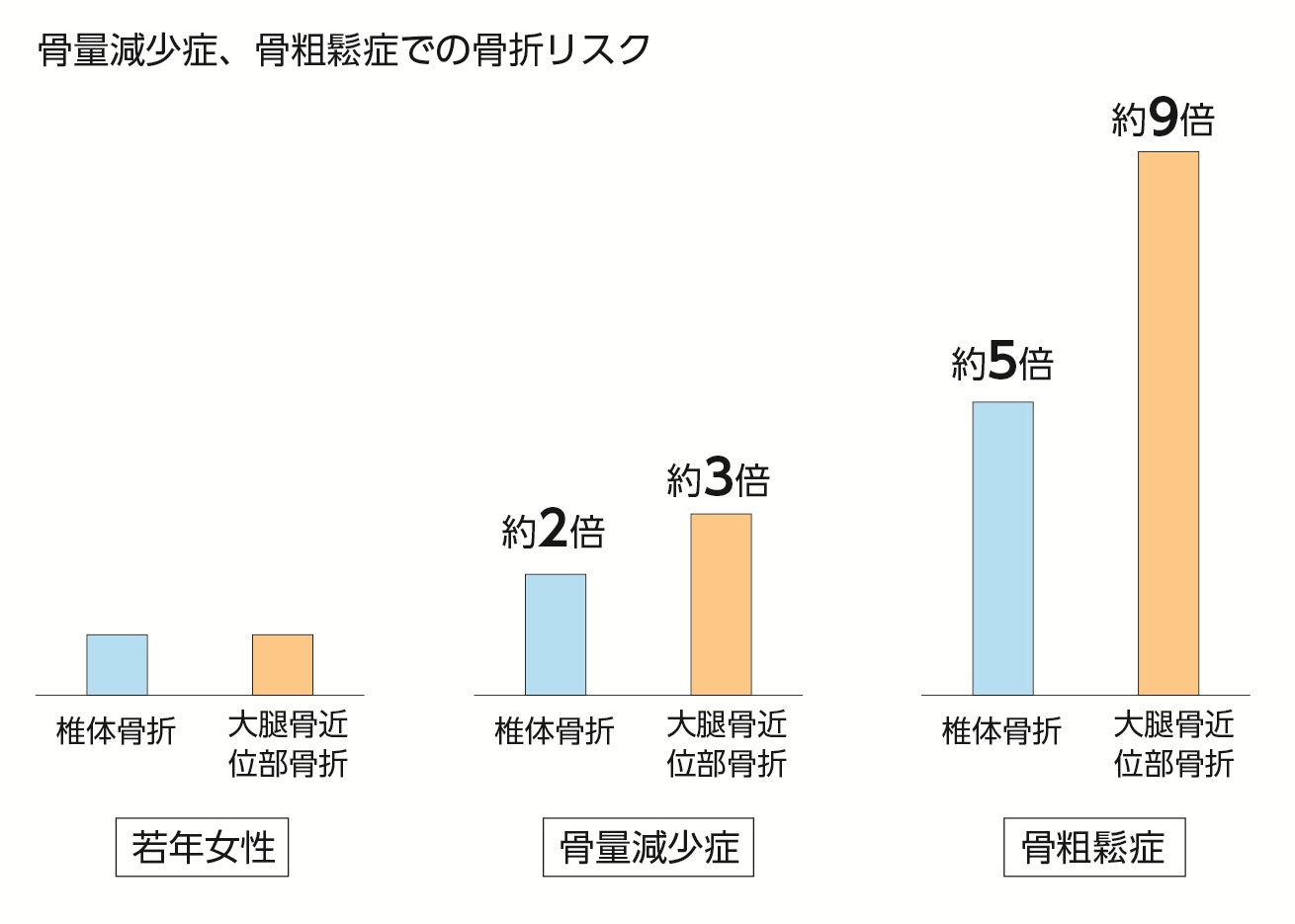 骨粗鬆症の図2